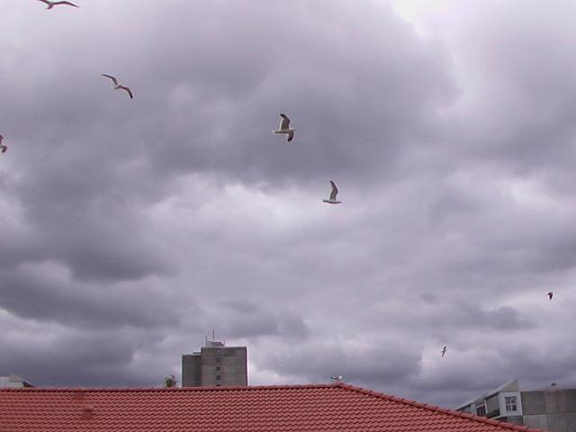 14-06-2004 17-56-28.JPG
